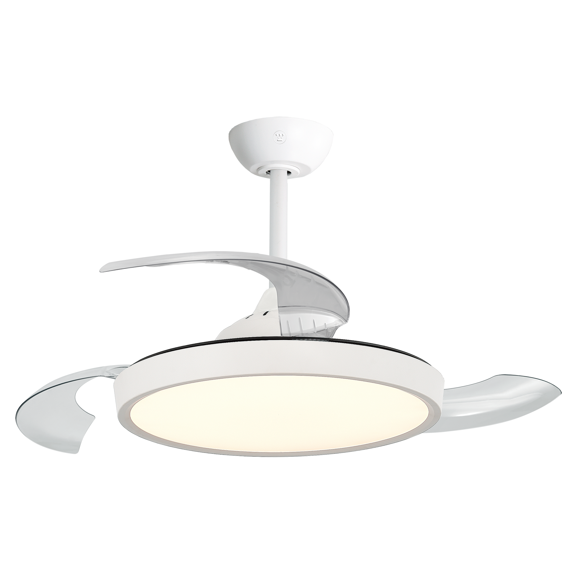 BOREALIS IV – 42″