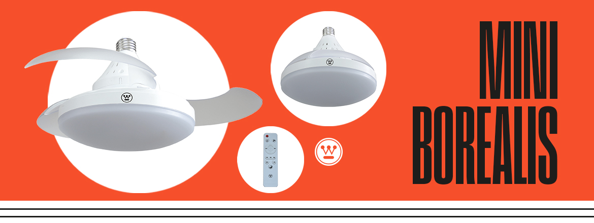 Westinghouse Lighting