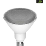 PAR 30 LED