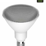 PAR 38 LED