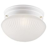 Ceiling Lamp – Indoor