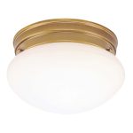 Ceiling Lamp – Indoor