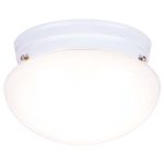Ceiling Lamp – Indoor