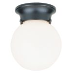 Ceiling Fixture – Outdoor