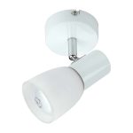 Ceiling Lamp – Indoor