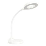 LED Desk Lamp