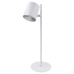 LED Desk Lamp