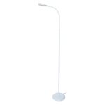 LED Floor Lamp