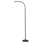 LED Floor Lamp