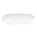 Indoor Led Ceiling Lamp