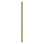 Extension Rod